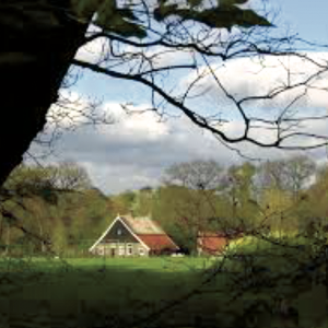 21e Essenwandeltocht in en rondom Tubbergen