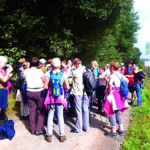 Samen meditatief wandelen