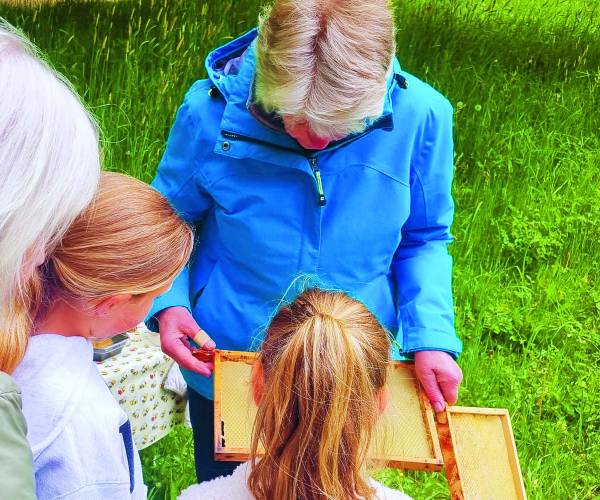 Scharrelkids-doedag zomer 2025