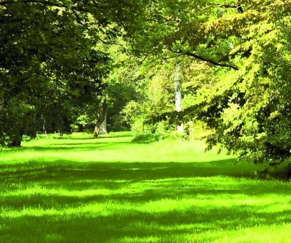 Avondwandeling Langoed Singraven