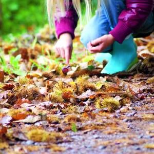 Scharrelkids-doedag Herfst