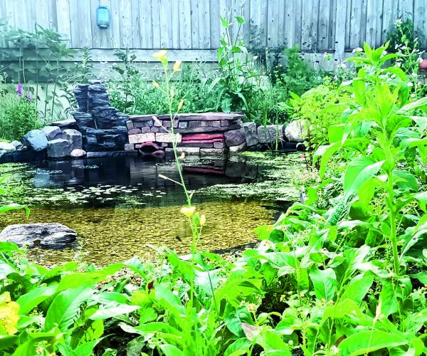 Inspirerende workshop ‘De levende tuin’ in Losserse bibliotheek