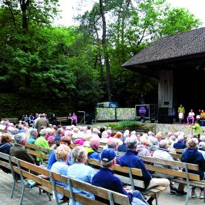 Gemeente Losser bedankt al haar vrijwilligers: in juni opnieuw groot vrijwilligersfeest
