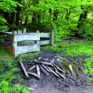 Wandel door het glooiende, groene landschap rond Oldenzaal