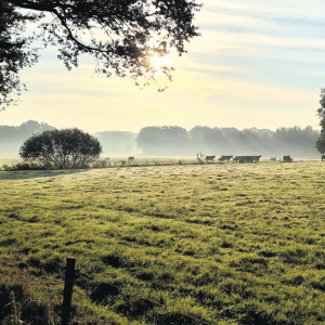 Wederom genieten van de herfst in Beuningen