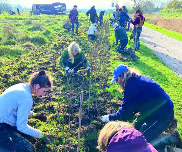 Plantfestijn in Geesteren