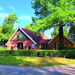 Geheugentraining voor senioren