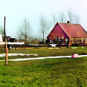 Lossers onderschatte schat