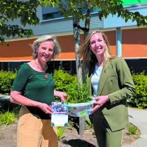 Eerste planten van nieuwe Waardplantenactie Groene Loper Losser Oldenzaal voor Wethouder Evelien Zinkweg