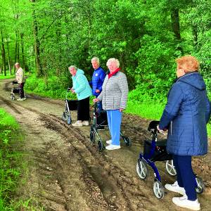 Vakantie Zonnebloem Deurningen