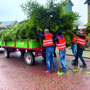 Recordopbrengst bij Kerstboomactie SDC’12-jeugd