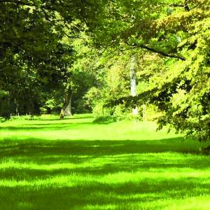 Avondwandeling Langoed Singraven