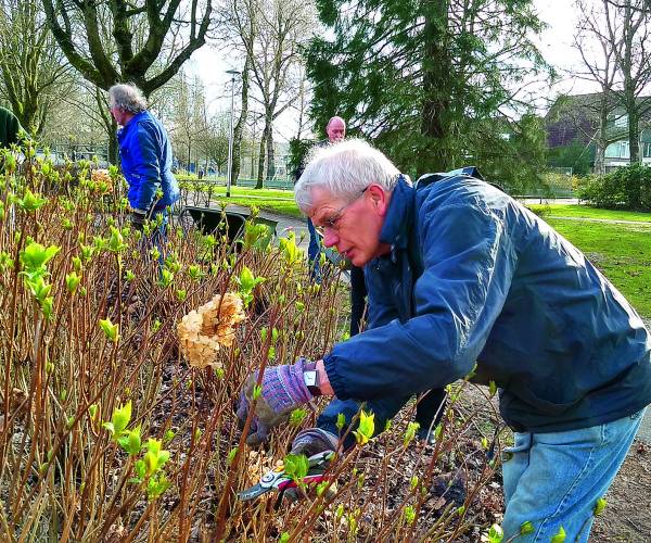 NL Doet Park Stakenkamp