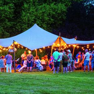 Zwoele Zomeravond in arboretum biedt veel jonge artiesten podium