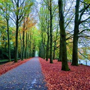 Al wandelend genieten van al het moois in Almelo