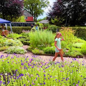 Proef de sfeer van kruiden tijdens open dag in Kruidentuin van Vasse
