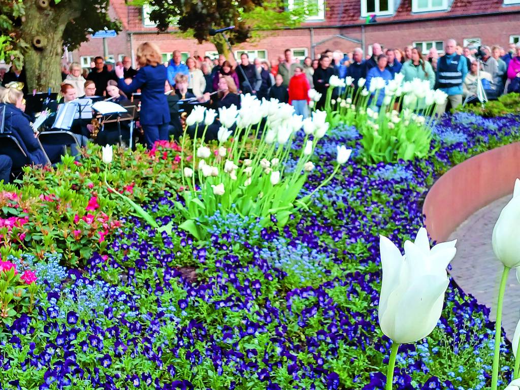 Prachtige bloemen op het Van Dronkelaarplein.
