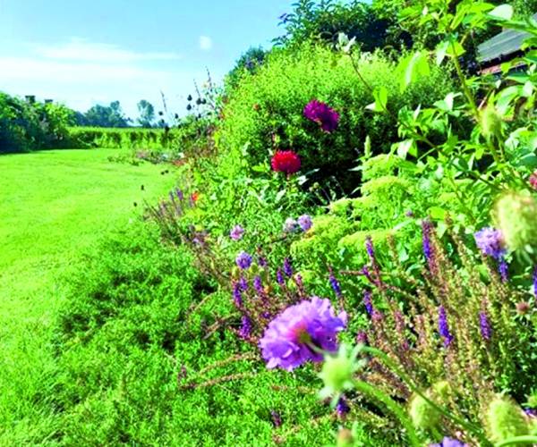 Open Tuinen in onder andere Harbrinkhoek