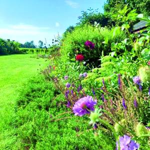 Open Tuinen in onder andere Harbrinkhoek