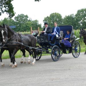 Authentieke koetsentocht rondom Denekamp: de Singravenrit