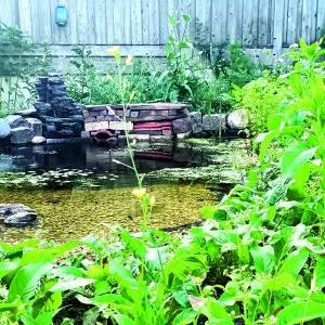 Inspirerende workshop ‘De levende tuin’ in Losserse bibliotheek