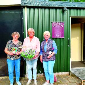 Voorjaarstoernooi Denekamp-Jeu de Boules 2024