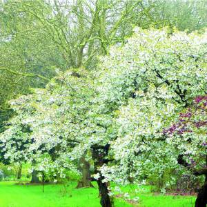 Wandeling Landgoed Singraven te Denekamp