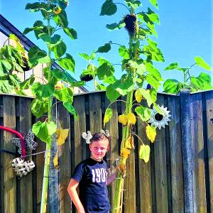 Zonnebloem Albergen sluit af met vrolijke zonnebloemen fotowedstrijd