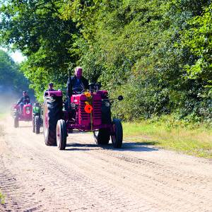 Mooie 21e editie Elfdorpentocht