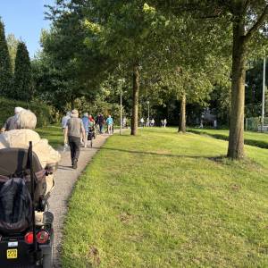 SWTD avondwandelingen