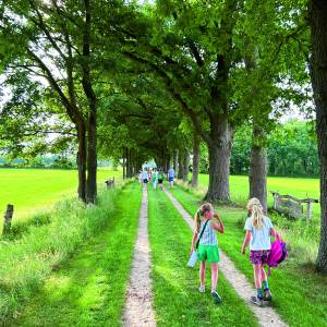 Derde editie Wandel4Daagse Tubbergen: vier dagen vol wandelplezier, verrassingen en verbondenheid