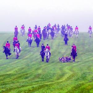 Foxhounds volgen geurspoor tijdens jaarlijkse slipjacht in Vasse