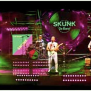 SKUNK “De” Doe Maar coverband van Nederland en tropical DJ’s tijdens Holidaynekamp