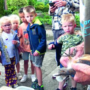 Jeugd geniet van ringen kerkuilen in Geesteren