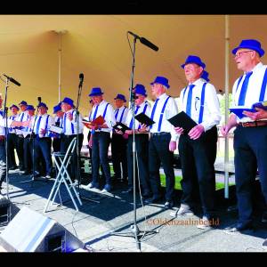 Smartlappenzangers in muziekkoepel