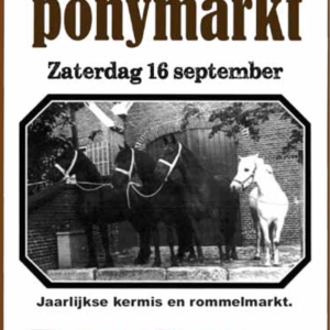 Paarden & Ponymarkt 2023 te Denekamp